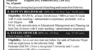 Latest Vacancies at GC University Lahore